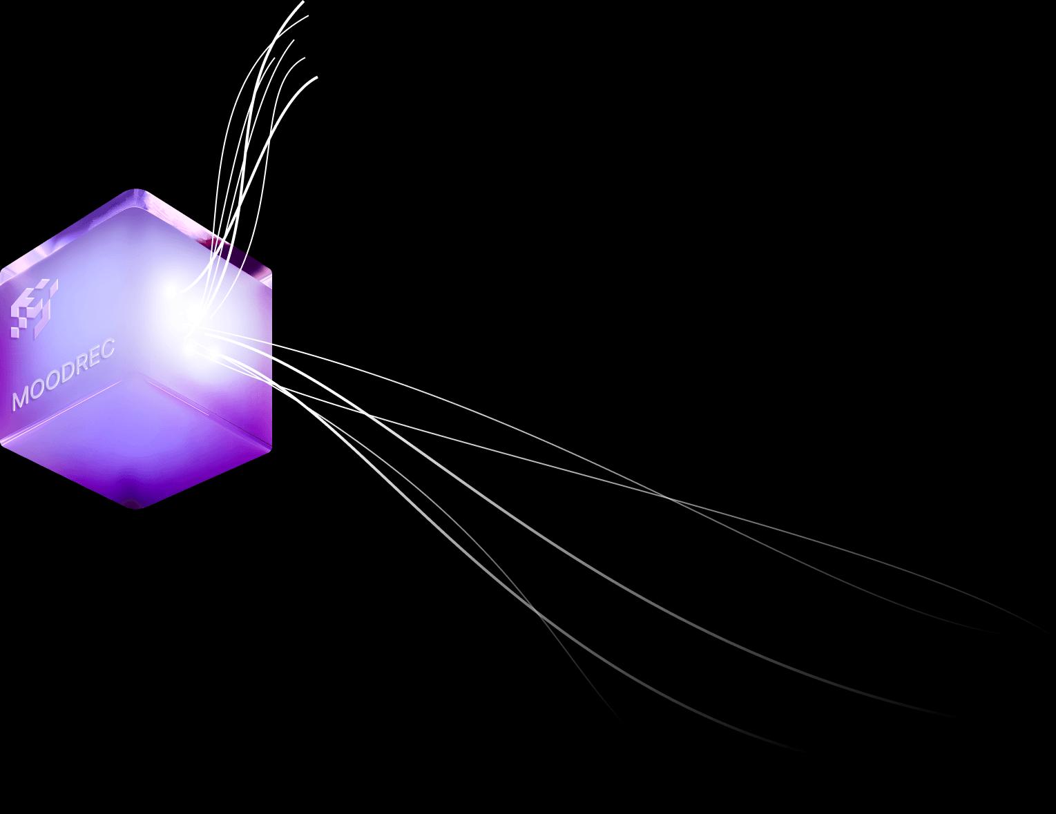 animation
